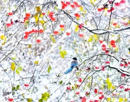 白里透红美颜,白里透红娇颜