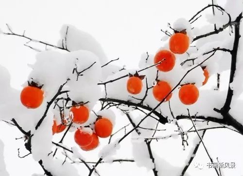 白里透红美颜,白里透红娇颜