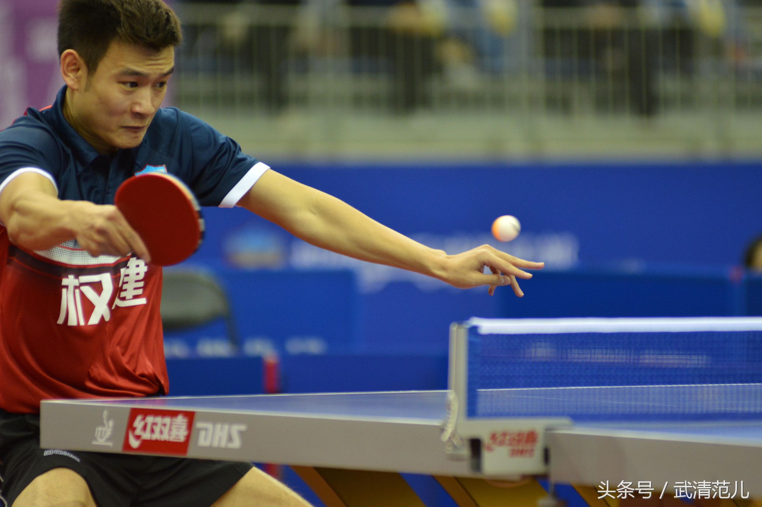 马龙亮相权健,马龙天津权健主场