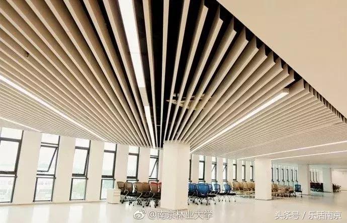 南京哪些大学毕业工资高,南京各大学毕业5年后待遇