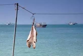 命中缺水,命中五行缺水怎么办