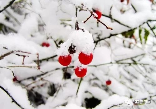 白里透红美颜,白里透红娇颜