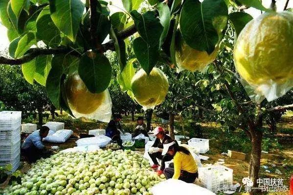 脱贫攻坚贫困的原因,脱贫攻坚中存在的问题和解决思路