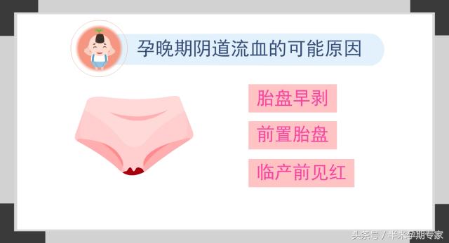 孕晚期胎心监测位置变化,孕晚期腹腔脏器变化