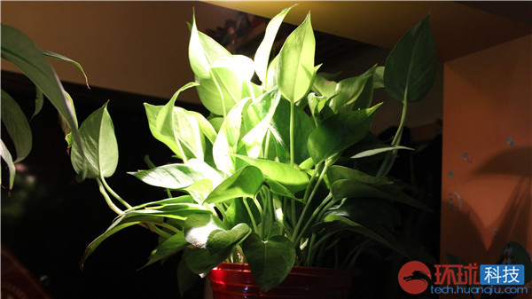 三星galaxys拍照评测,三星拍照vs苹果拍照