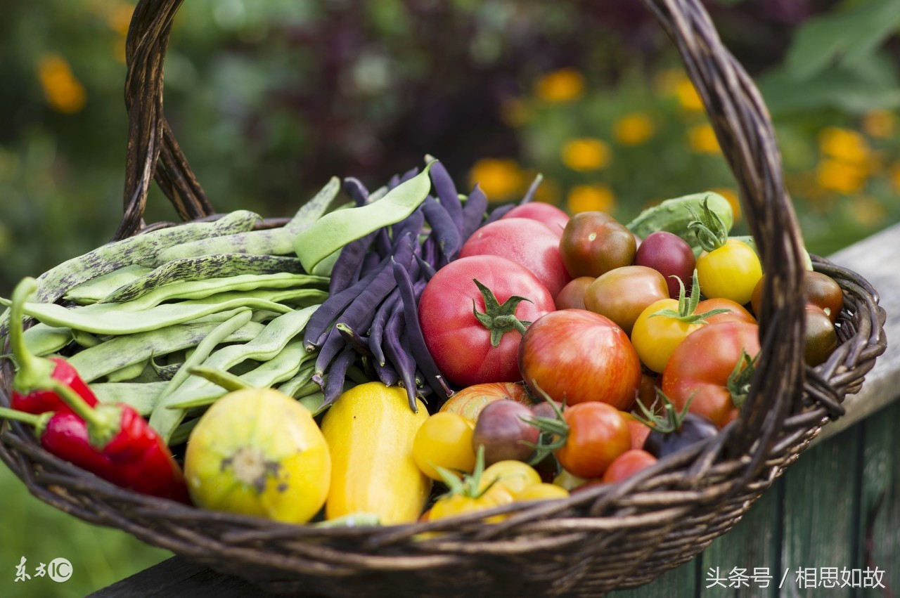 农村投资创业好项目,农村残疾人创业项目