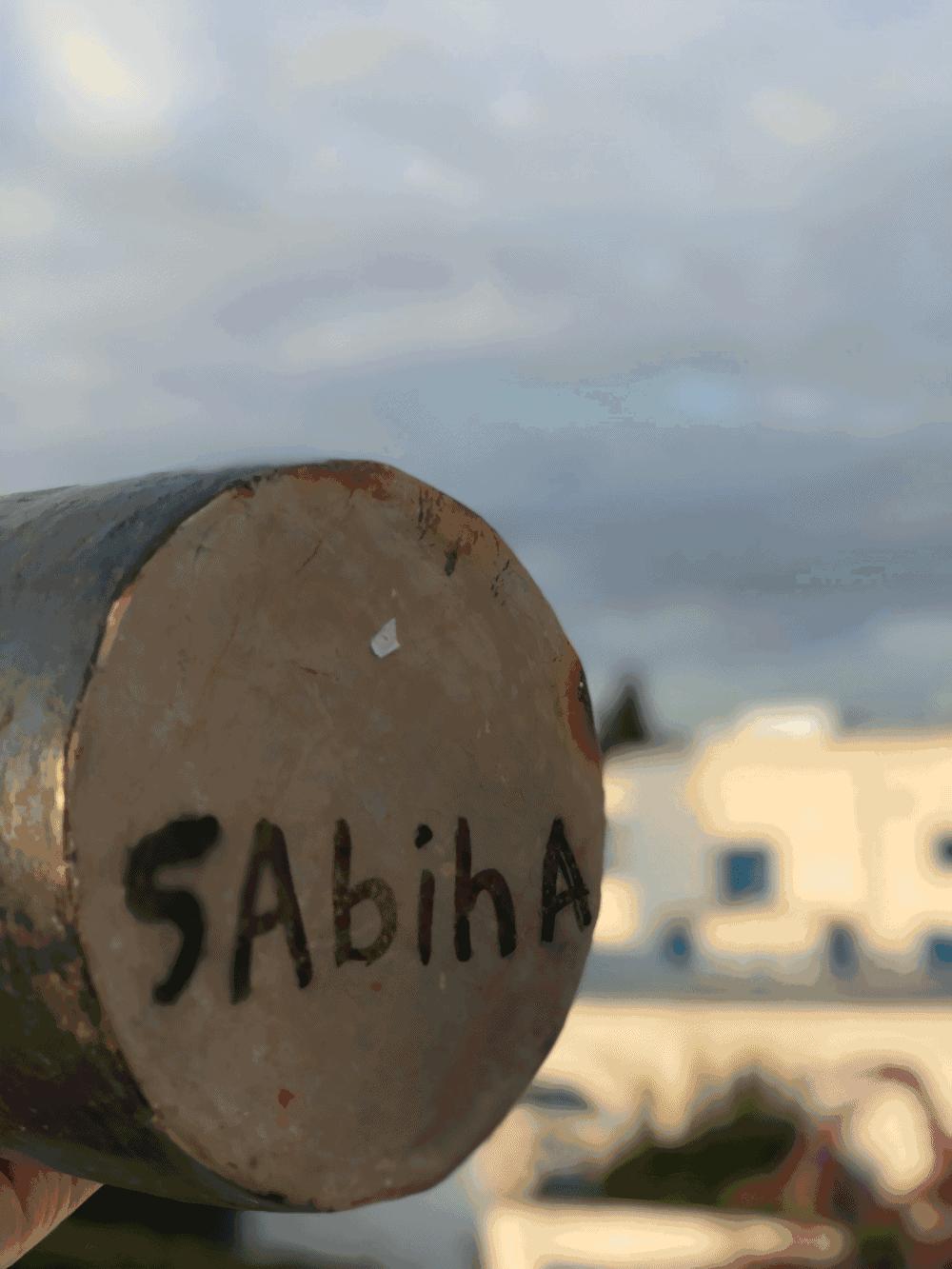 西天取景,西天取景挣大钱