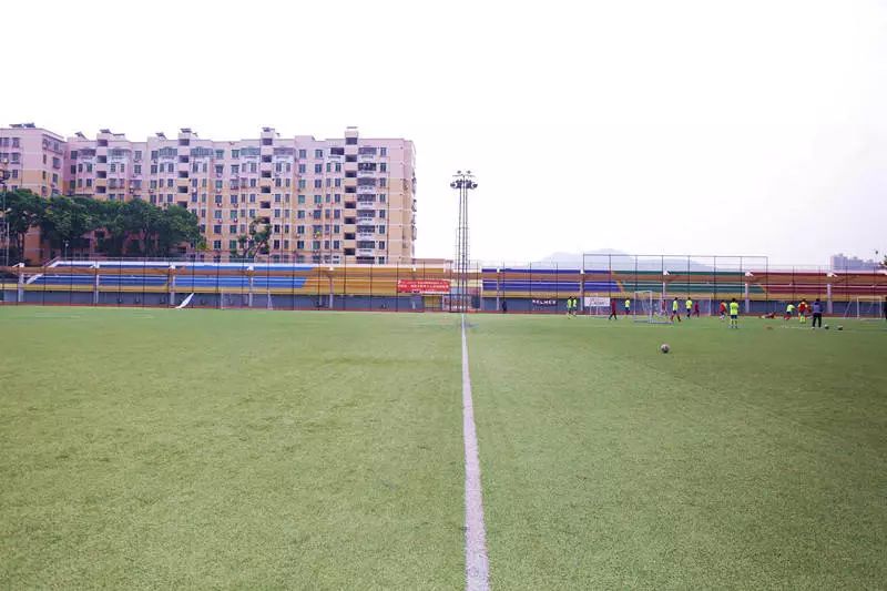 肇庆新区体育中心跑道开放吗,肇庆体育设施建设的对比与变化