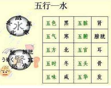 根据出生时间推算人的体质,出生月份与体质的关系