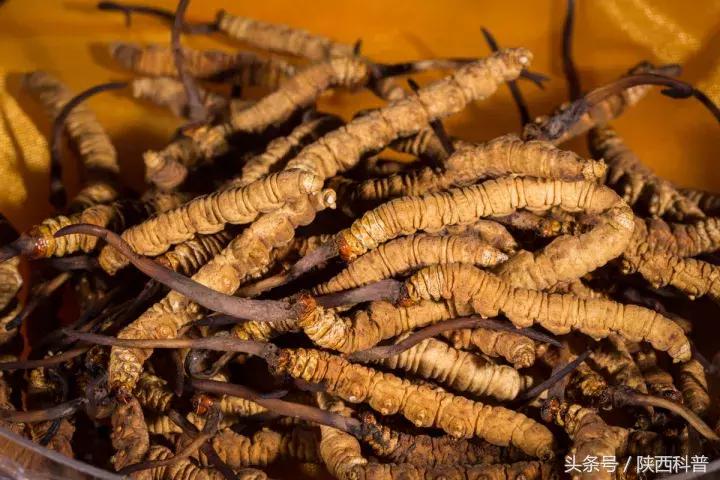 撕开“保健圣品”的美丽外衣之后……