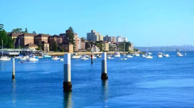 代购什么都卖靠谱吗,代购其实真的很不容易