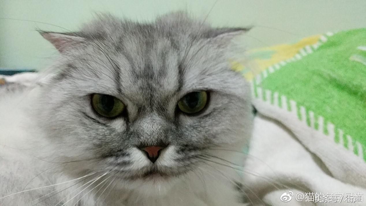 黑羊：我特别害怕被打上“京城”“嘻哈”“地下”这些标签