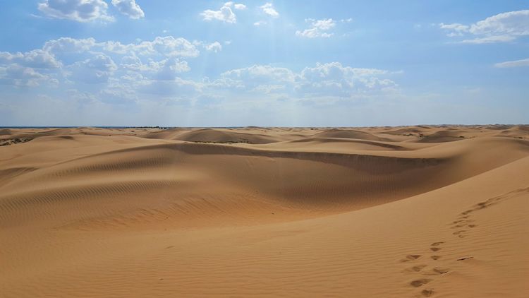 恩格贝沙漠自驾游,走进原始森林房车游记