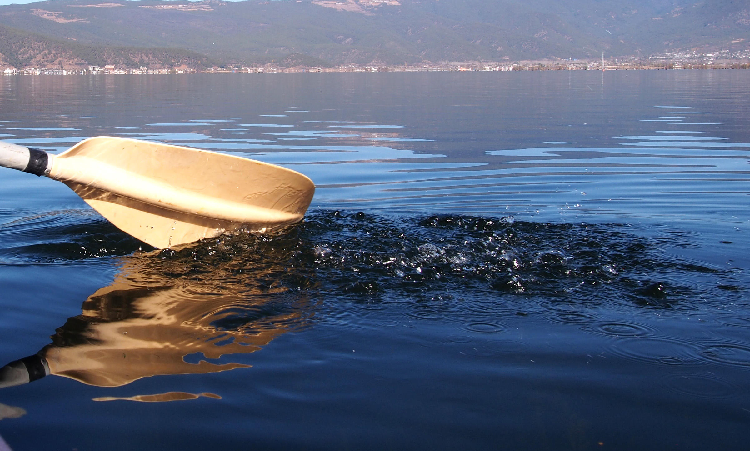 水至清则无鱼游泳,水至清则无鱼但是还是有很多鱼