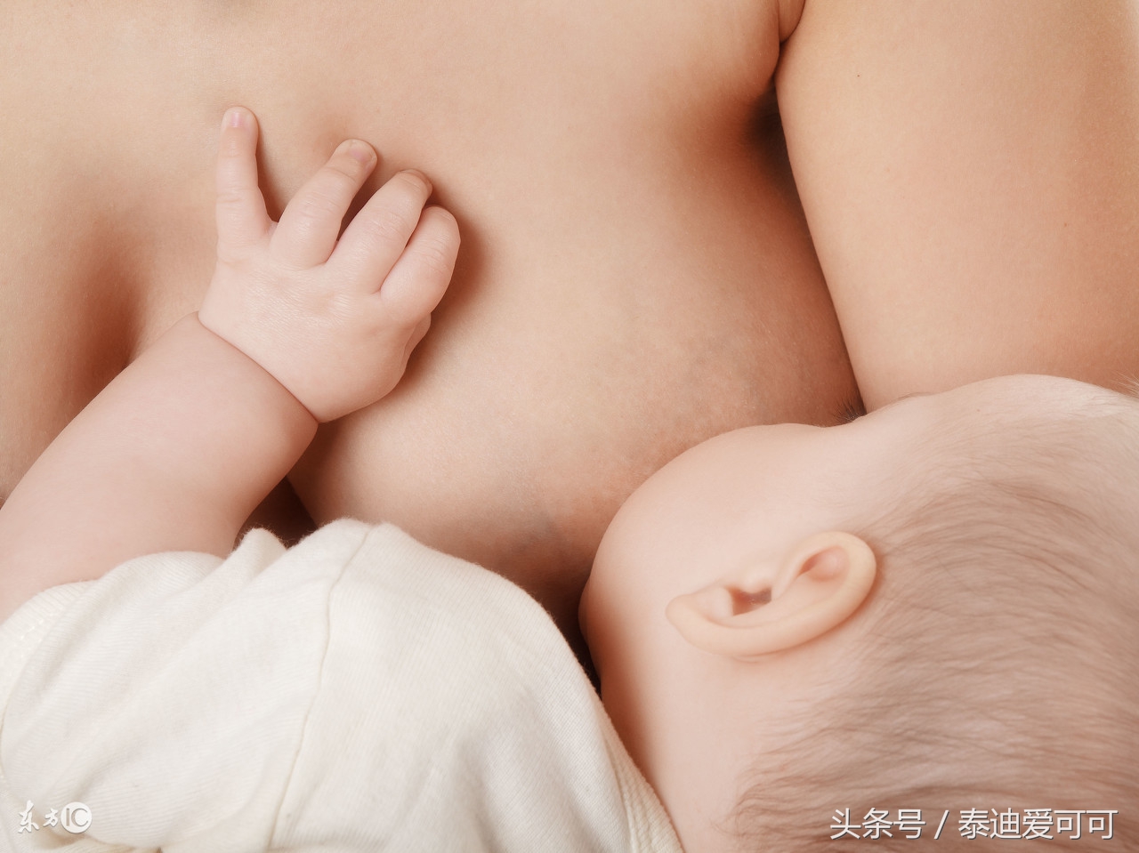 一岁半断奶的正确方法,玄凤鹦鹉断奶正确方法