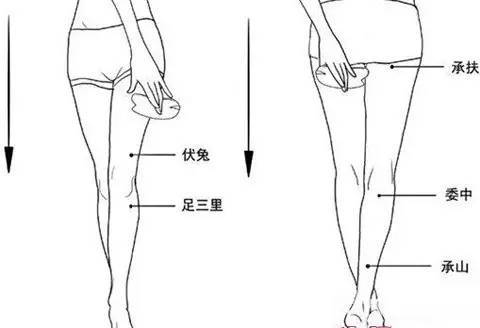 肌肉小腿还能通过什么途径瘦,肌肉小腿改善方案