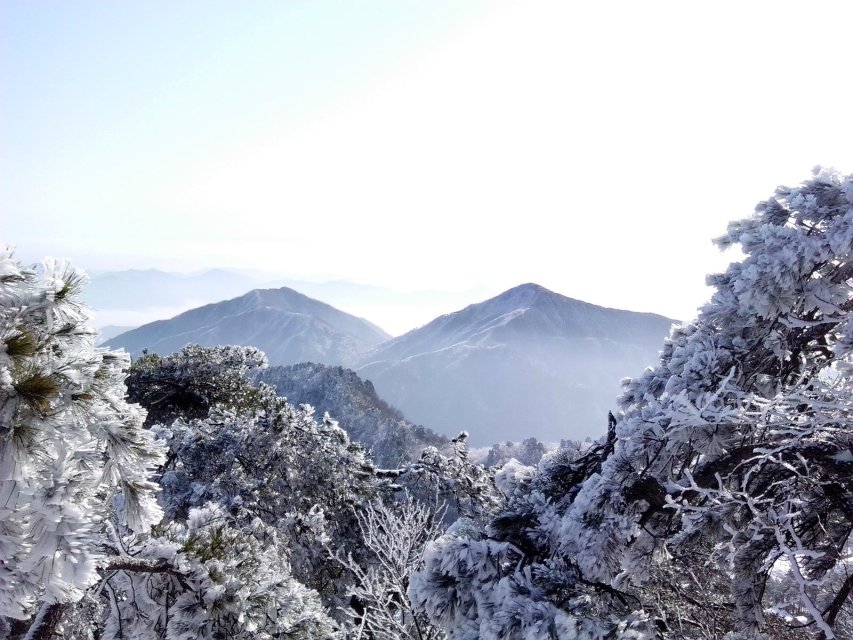 2024九华山自驾游详细攻略,九华山2024旅游攻略