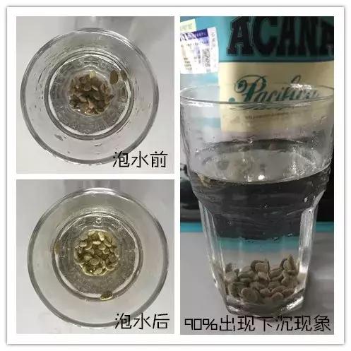 爱肯拿哪一款好,爱肯拿值不值得买