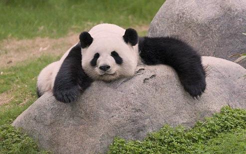 pythonscipy库怎么下载,python怎么安装scipy库