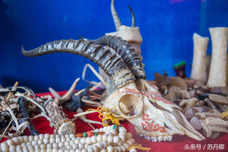 草原散养牛骨头,骨雕是什么骨头做的