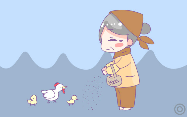 坐月子鸡可以多吃吗,产后不可以吃什么样的鸡