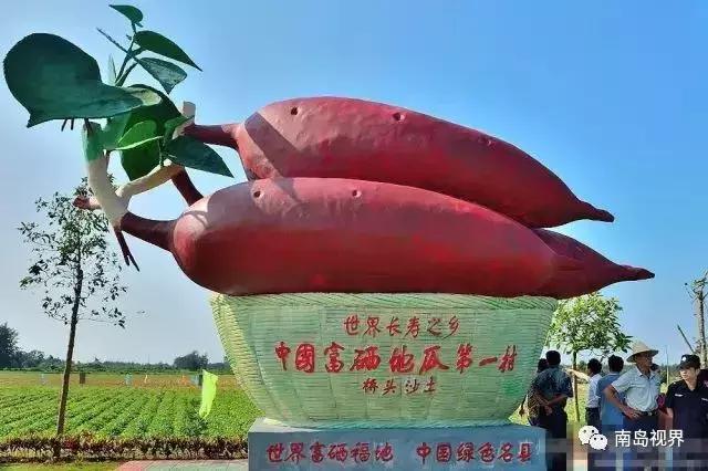 还在纠结送什么礼物吗,海南十大特色伴手礼