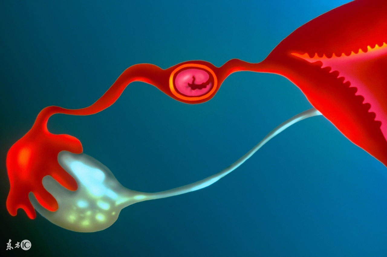 40岁高龄孕妇怀孕八个月,43岁孕妇怀孕六个月