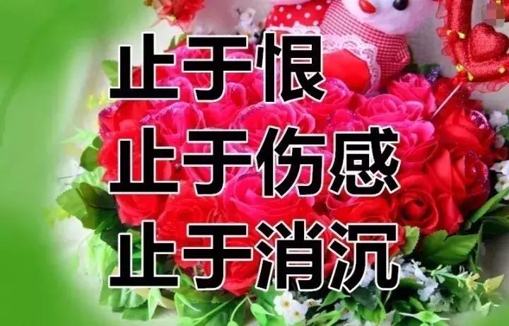 我的相册视频,十寸相册