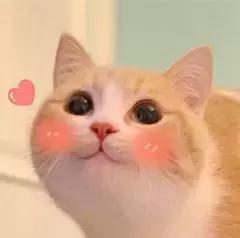 如果可以一夜暴富,如果能一夜暴富就好了