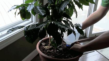 小瓶子手工制作小东西养花,省钱10大养花神器1个塑料瓶做出来