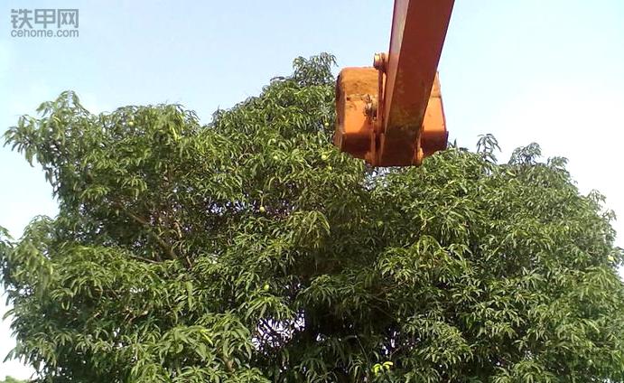 我在非洲开挖机,4：挖机坏了没法修，时刻提防被抢劫