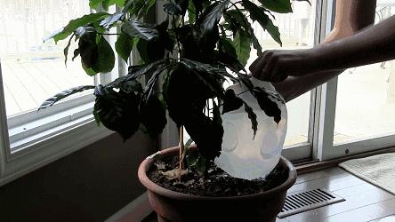 小瓶子手工制作小东西养花,省钱10大养花神器1个塑料瓶做出来