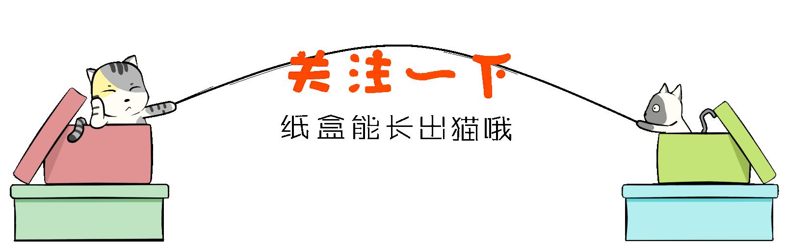 给猫咪洗澡要注意哪些,喵星人洗澡的正确方法