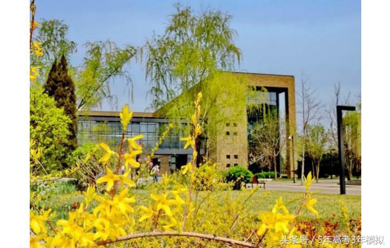 中央财经大学全国排名,最好就业的全国财经大学排名