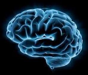 日本干细胞治疗多系统萎缩,日本干细胞能治好脑萎缩吗