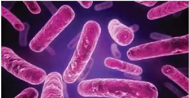 家长要小心！这种病广东进入流行高峰期，香港已拉响警报！