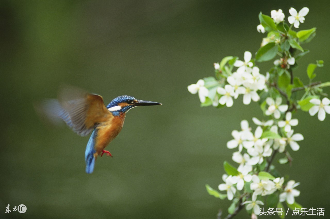 人生5福,人生5福是什么