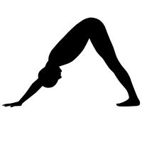 中国瑜伽联盟哈他瑜伽精品教材,哈他瑜伽排课和流瑜伽有什么区别