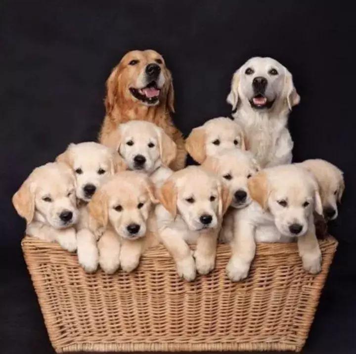 卖萌少女系列|毛茸茸的帽子、耳罩、鞋子、包包等好物分享