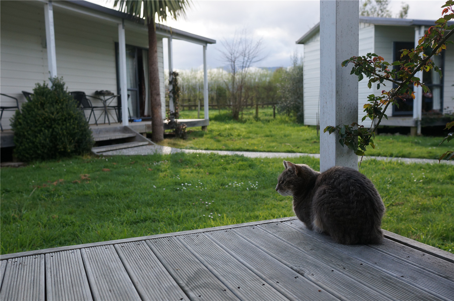 环游记新西兰旅游攻略,自驾游新西兰攻略大全最新