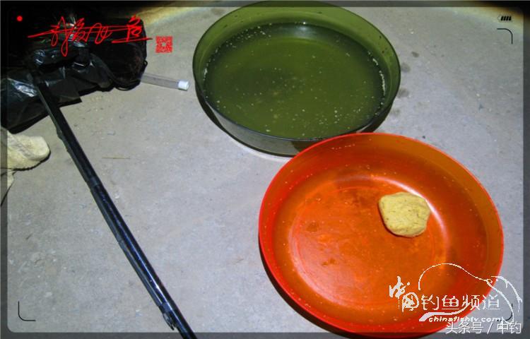 蝙蝠老是来屋里怎么赶走,蝙蝠来屋里怎么办