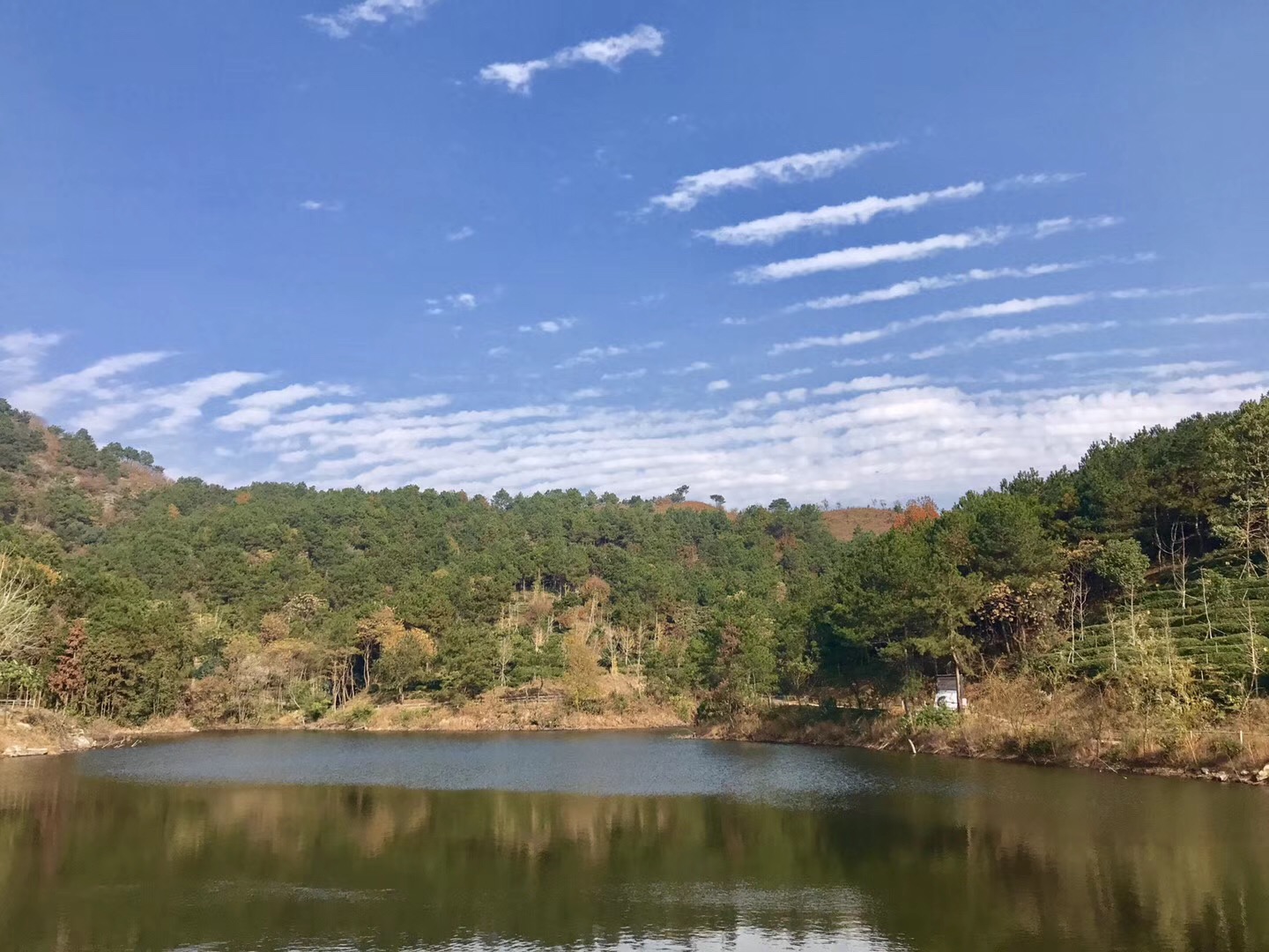 花乡茶谷最好的地方,冬日花乡茶谷
