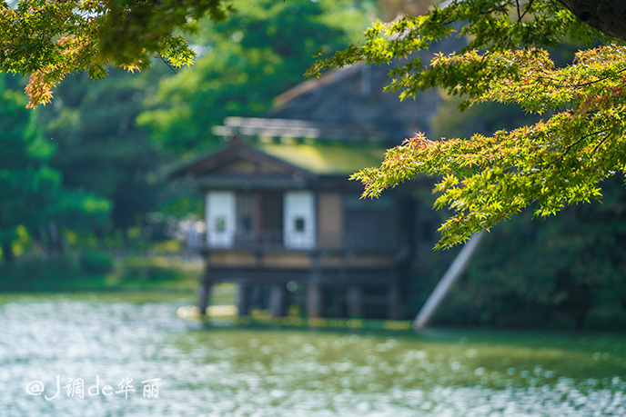 日本金泽旅游,日本金泽美景