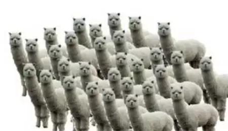 盘点各种游戏外挂,自带外挂辅助的游戏有哪些