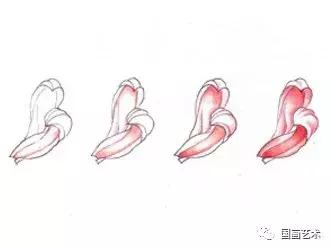 工笔菊花画法步骤示范,工笔菊花设色步骤