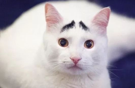 现在化妆品太多不知道哪个好用,几块钱的化妆品真的好用吗