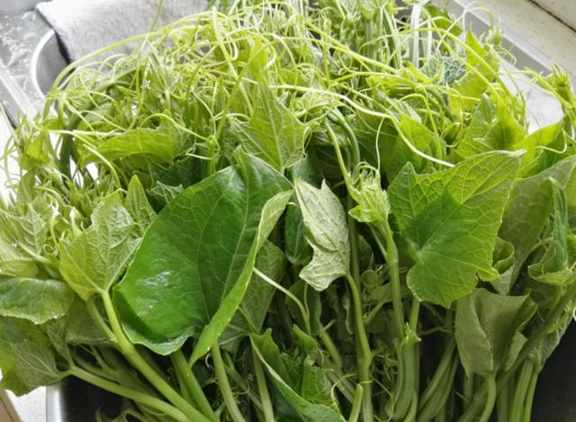 这5种蔬菜宁可扔了都别吃,这4种蔬菜建议不要买来吃