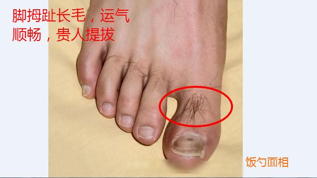 饭勺看子女面相,饭勺脸的面相特征怎样