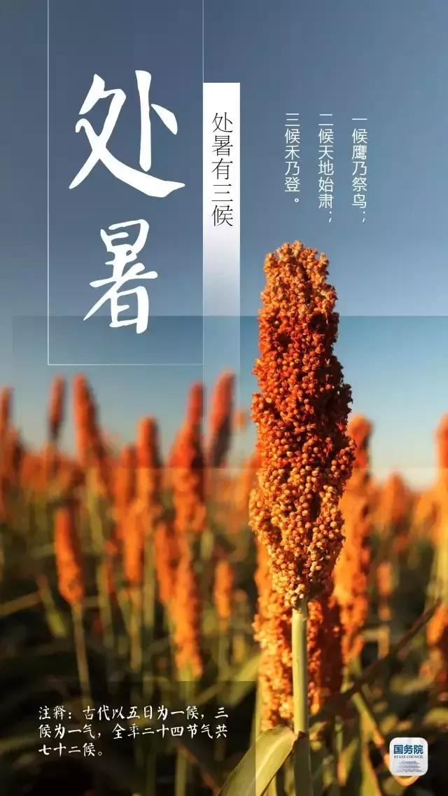 一张图上包含二十四节气壁纸,高清中国插画二十四节气壁纸