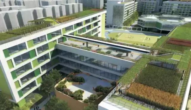 名校疯了成都今明两年新开学校29所,跑步进入名校“新一线城市”